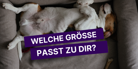 Polsterbett 160x200 oder 180x200 – welche Größe passt zu dir?