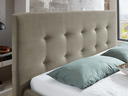 Taupe