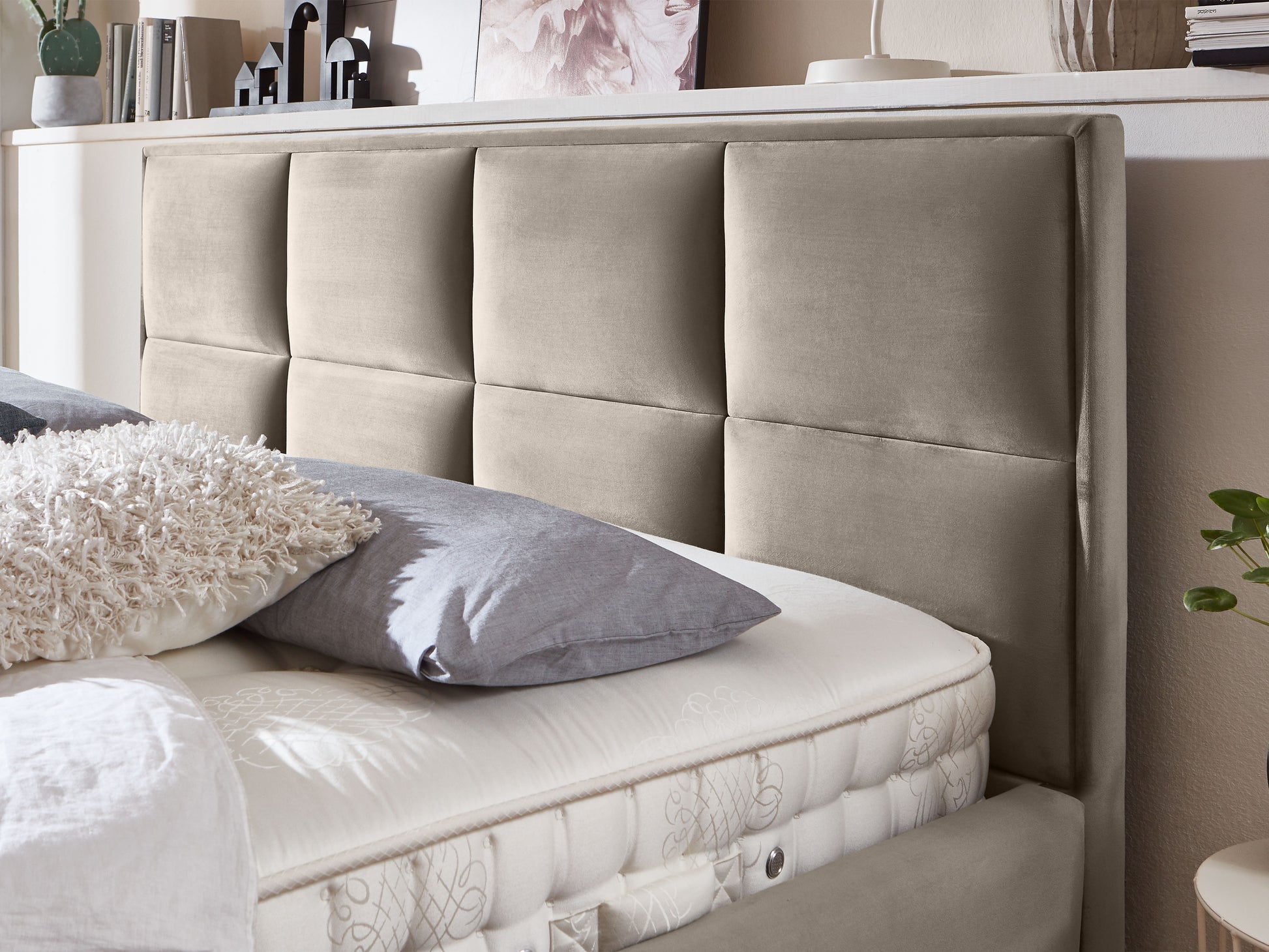 Taupe